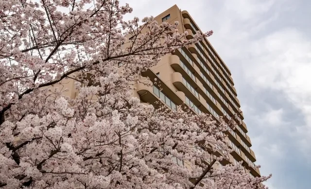 Bagian belakang Zairyū Card (Residence Card) dengan kolom alamat yang sudah diperbarui.