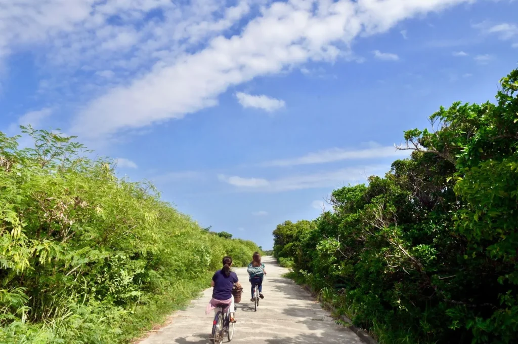 Pemandangan pantai yang indah di Okinawa.