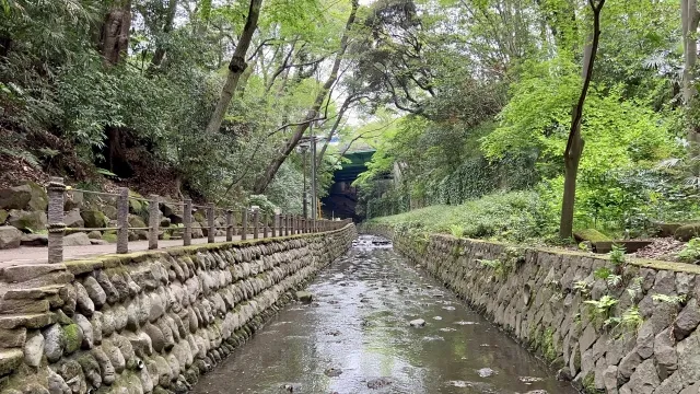 Pemandangan jalur pejalan kaki di Lembah Todoroki yang dikelilingi pepohonan hijau rimbun.