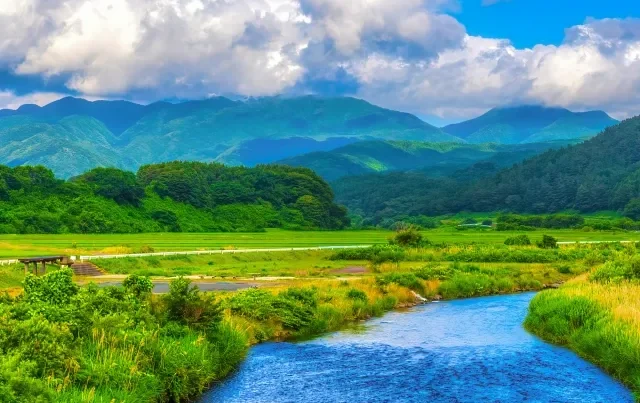 Tampilan situs portal Furusato Nōzei di layar laptop.