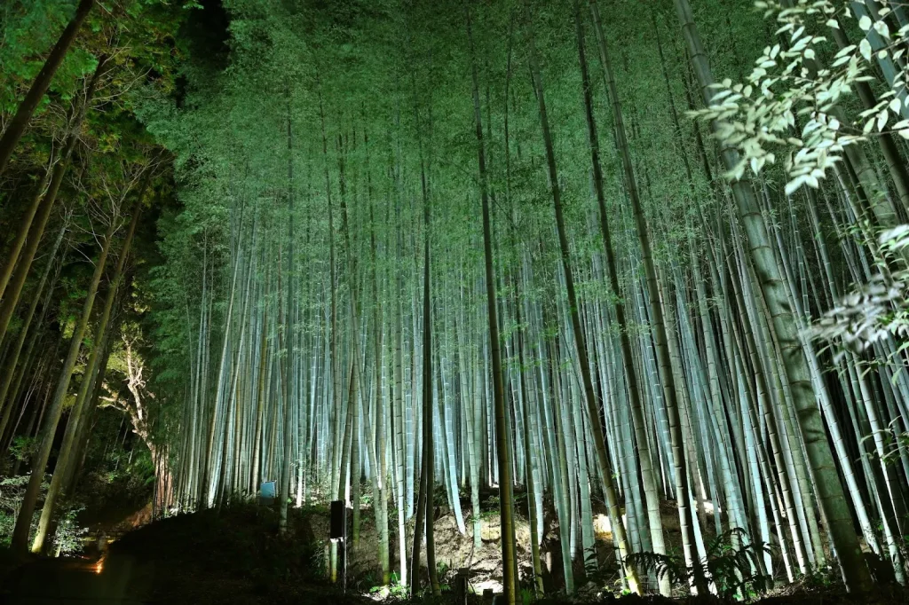 Gerbang merah yang indah di Takeo Onsen.