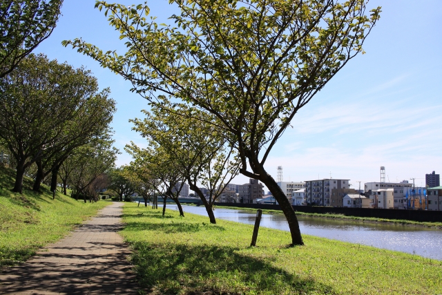 Pemandangan malam kota di Jepang