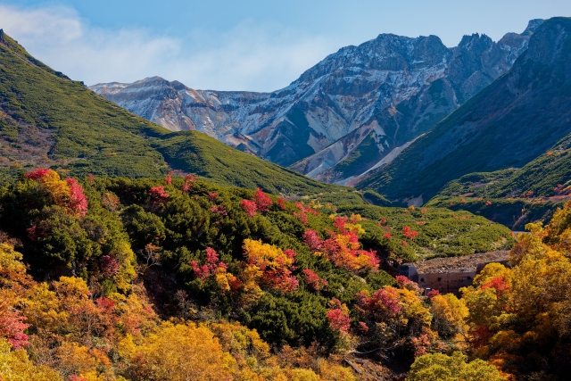 Gunung Fuji dengan pemandangan danau dan bunga sakura